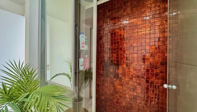 Wiederverkauf - Apartment - Torrevieja