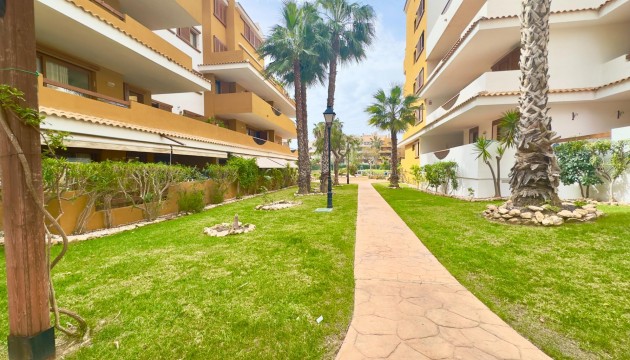 Wiederverkauf - Apartment - Torrevieja - Punta Prima