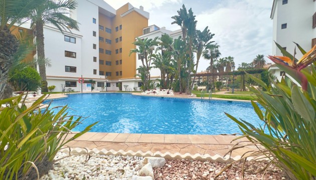 Wiederverkauf - Apartment - Torrevieja - Punta Prima