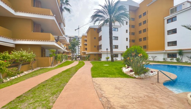 Wiederverkauf - Apartment - Torrevieja - Punta Prima