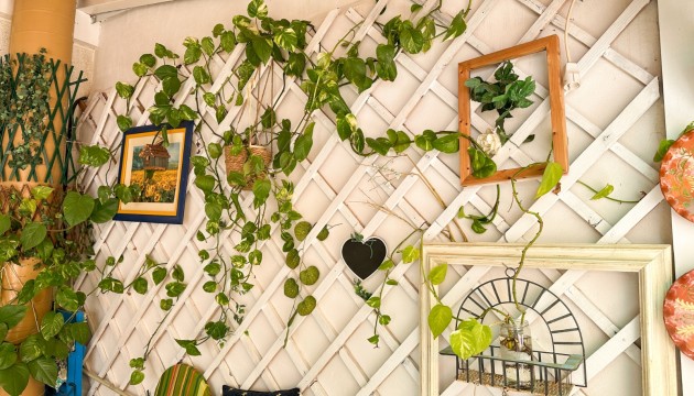 Videresalg - Leilighet - Torrevieja