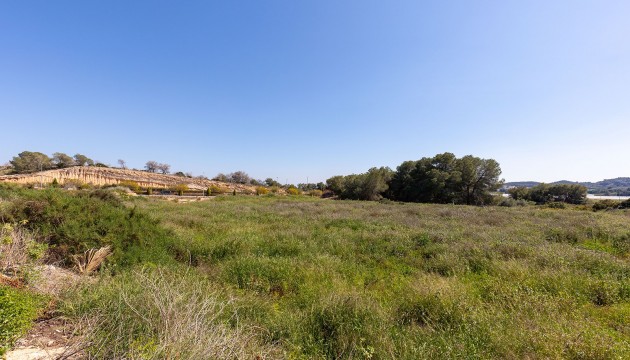 Resale - Detached Villa - Vistabella Golf