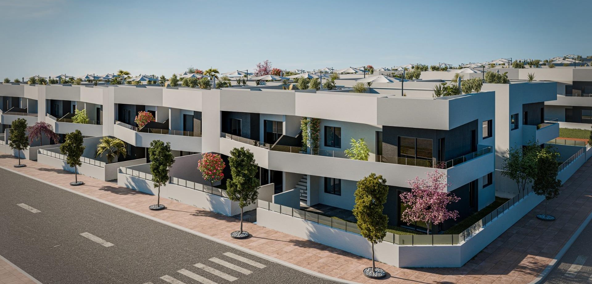 House in San Miguel de Salinas - Image 5