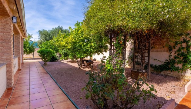 Videresalg - Detached Villa - Torrevieja - El chaparral