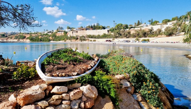 Begagnad - Lägenhet - Orihuela Costa - La Zenia