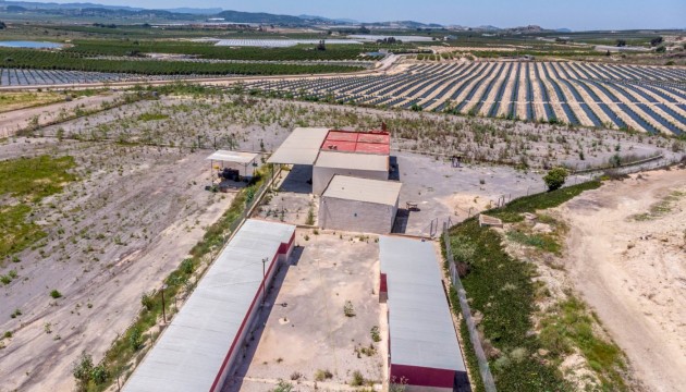 Wiederverkauf - Country House - Los Montesinos