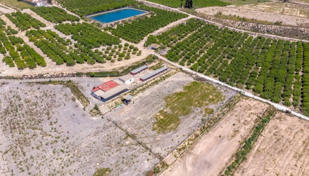 Wiederverkauf - Country House - Los Montesinos