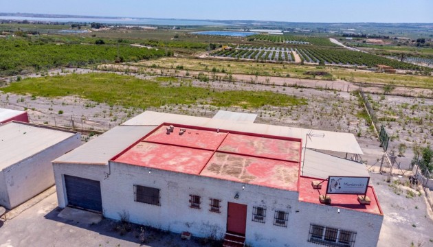 Wiederverkauf - Country House - Los Montesinos