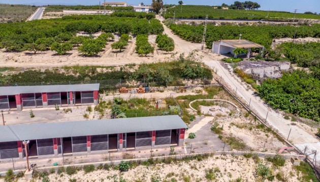 Wiederverkauf - Country House - Los Montesinos