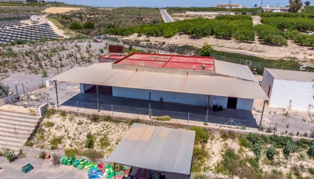 Wiederverkauf - Country House - Los Montesinos