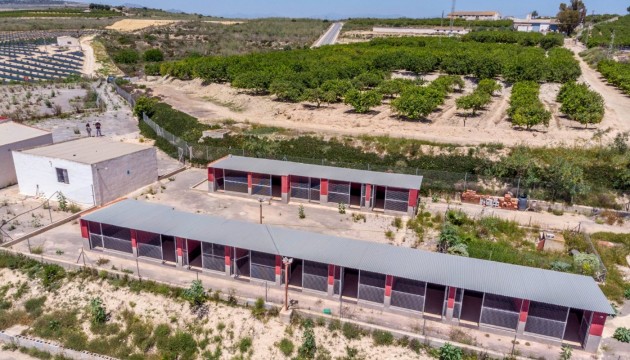 Wiederverkauf - Country House - Los Montesinos