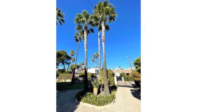 Resale - Detached Villa - Orihuela Costa - Villamartín