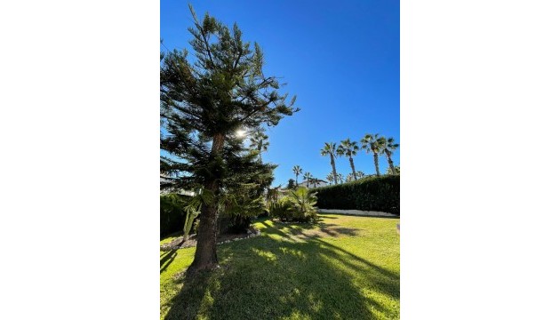 Resale - Detached Villa - Orihuela Costa - Villamartín