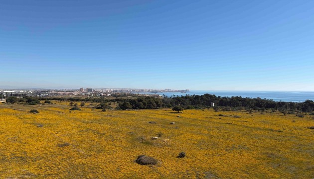 Herverkoop - Apartment - Orihuela Costa - Punta Prima