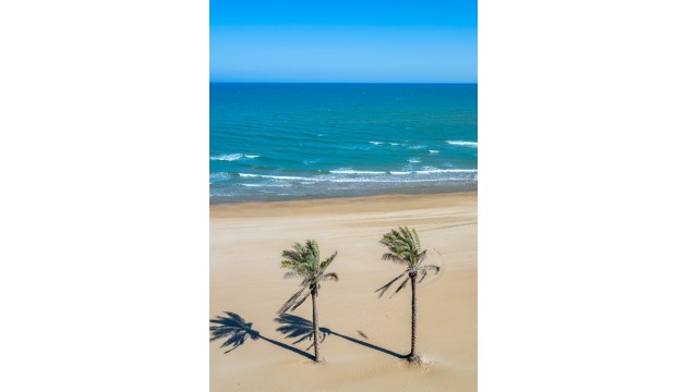 Reventa - Apartamento - Guardamar del Segura