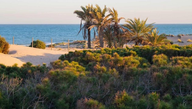 Nieuwbouw Woningen - Apartment - Guardamar del Segura - Avda del Puerto