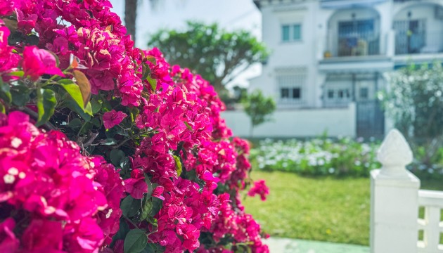 Resale - Bungalow - Torrevieja - Los Balcones - Los Altos del Edén