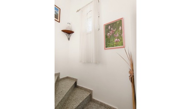 Wiederverkauf - Detached Villa - Pilar de la Horadada