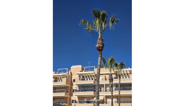 Videresalg - Leilighet - Orihuela Costa - Los Dolses