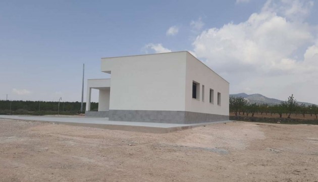 Новое здание - отдельная вилла - Pinoso
