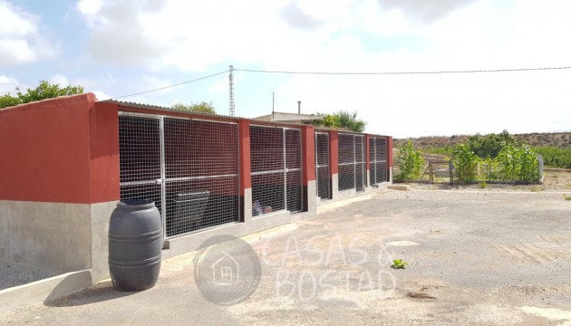 Reventa - Finca - Los Montesinos