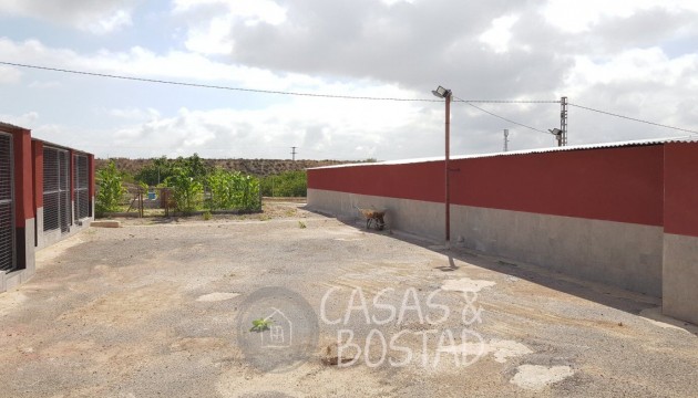 Reventa - Finca - Los Montesinos