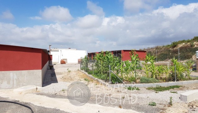 Reventa - Finca - Los Montesinos