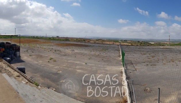 Reventa - Finca - Los Montesinos