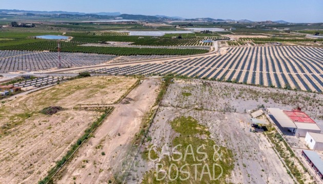 Reventa - Finca - Los Montesinos