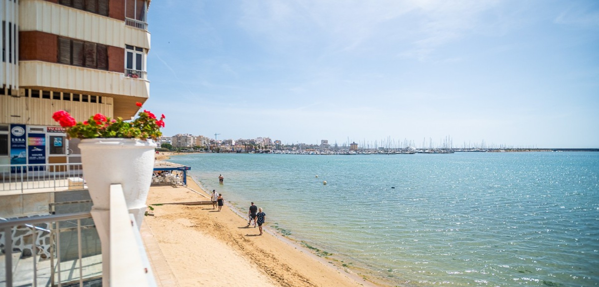 Apartment in Torrevieja - Image 2