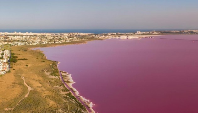 Resale - Detached Villa - Torrevieja