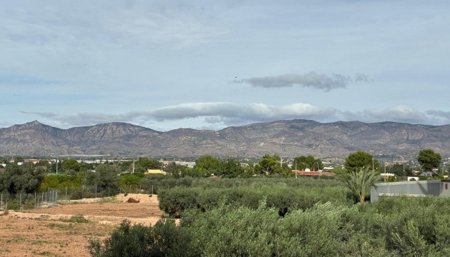 Odsprzedaż - Detached Villa - Crevillente