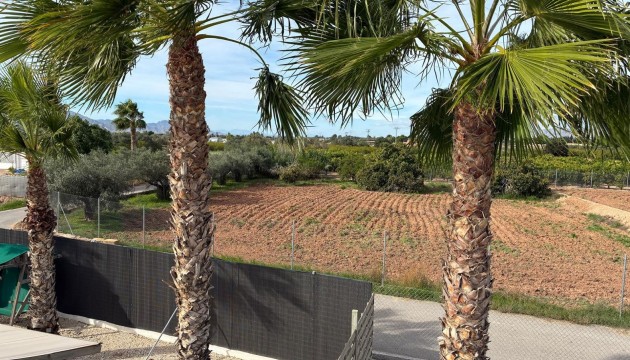 Odsprzedaż - Detached Villa - Crevillente