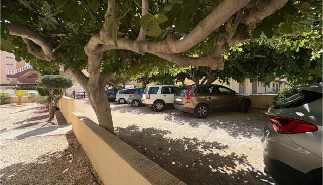 Odsprzedaż - Apartment - Torrevieja - Torrelamata - La Mata