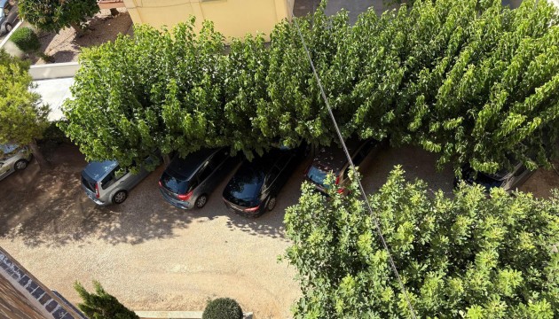 Odsprzedaż - Apartment - Torrevieja - Torrelamata - La Mata