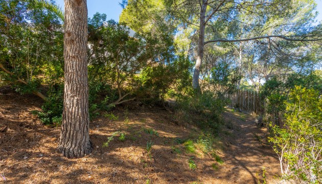 Odsprzedaż - Detached Villa - Orihuela - Orihuela Costa