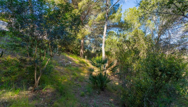 Odsprzedaż - Detached Villa - Orihuela - Orihuela Costa