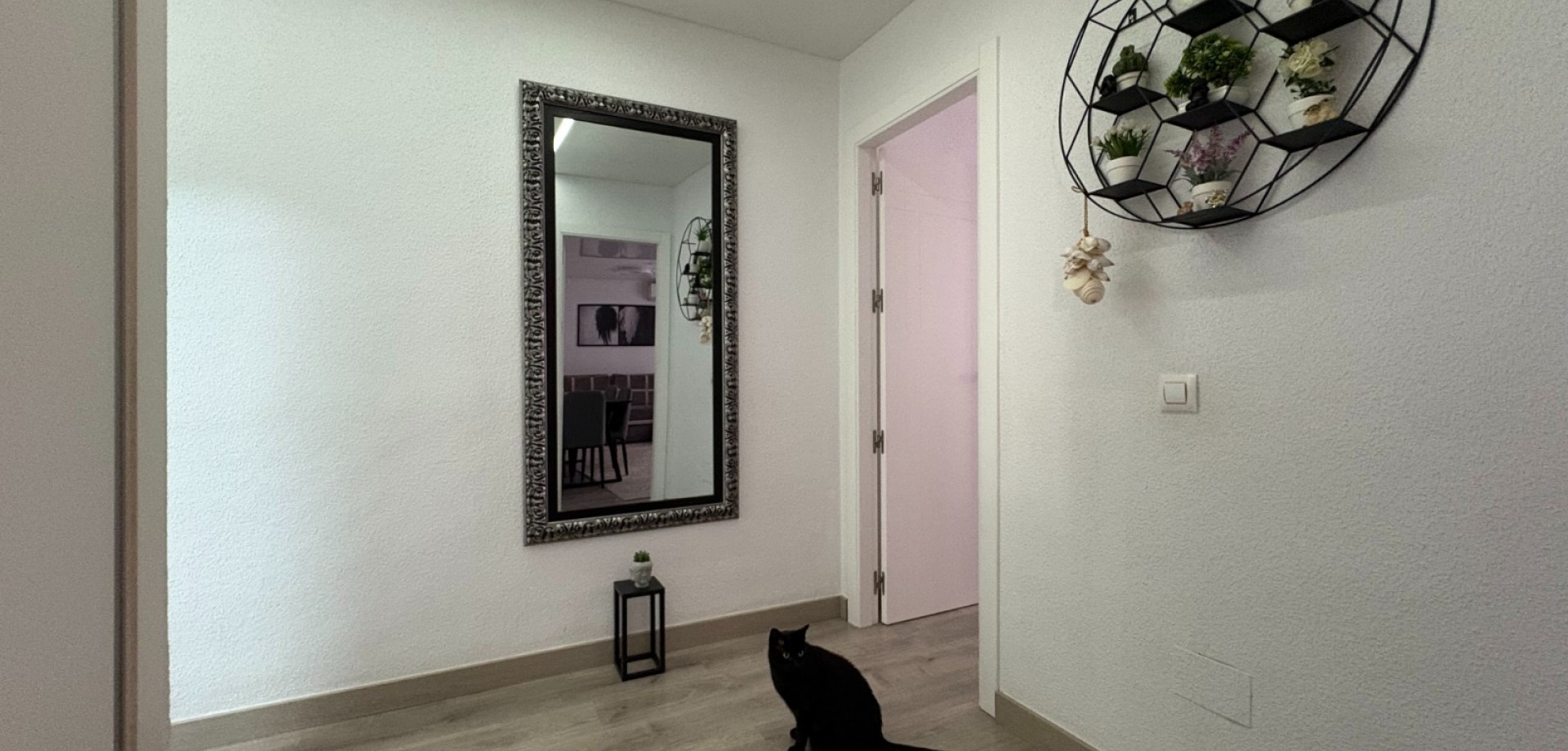 Apartment in Torrevieja - Image 2