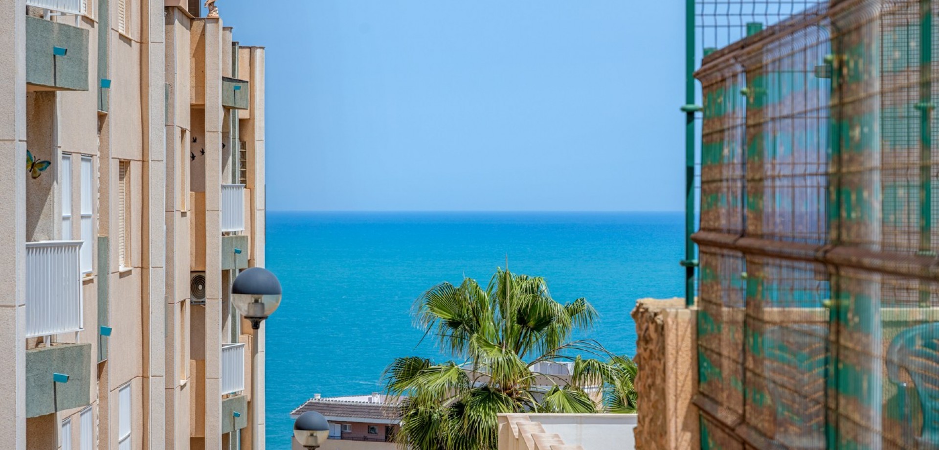 Apartment in Torrelamata - Image 2