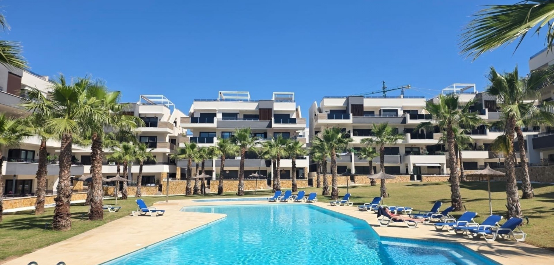 Apartment in Urbanizacion los Balcones - Image 2