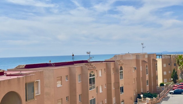 Resale - Apartment - Torrevieja - Torrelamata - La Mata