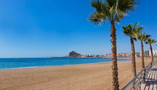 Nybygg - Leilighet - Aguilas