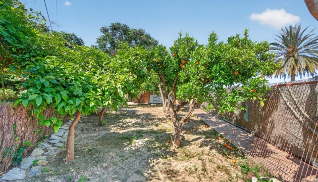 Перепродажа - отдельная вилла - Orihuela - Orihuela Center