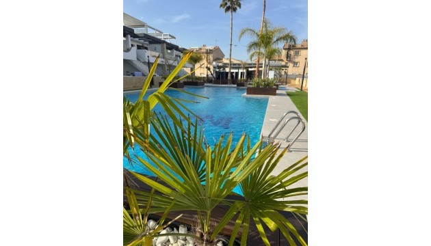 Resale - Apartment - Orihuela Costa - Punta Prima