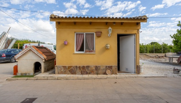 Resale - Detached Villa - Elche - La Hoya
