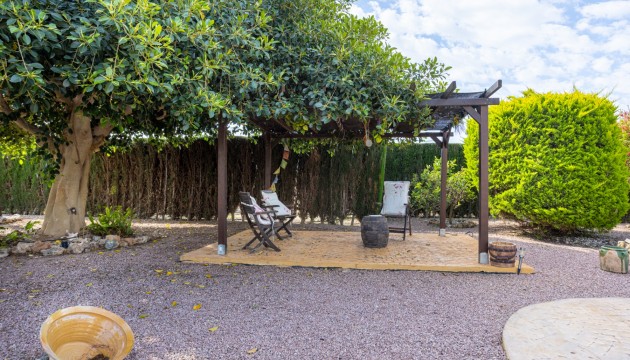 Resale - Detached Villa - Elche - La Hoya