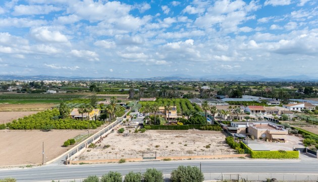 Resale - Detached Villa - Elche - La Hoya