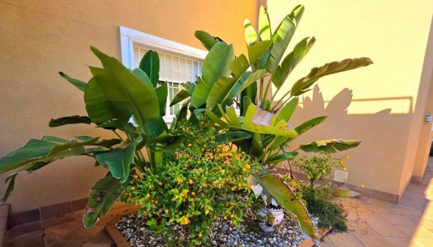 Wiederverkauf - Detached Villa - Dehesa de campoamor - Campoamor