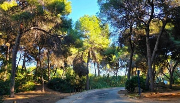 Wiederverkauf - Detached Villa - Dehesa de campoamor - Campoamor