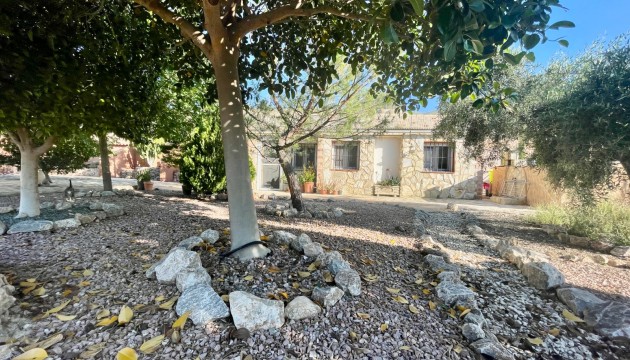 Resale - Country House - Crevillente